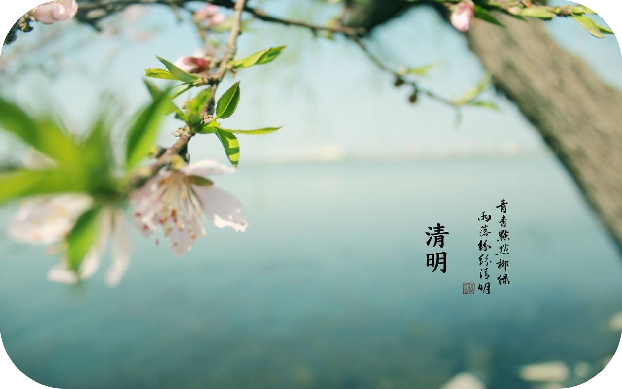 又是一年春草綠 又是一年清明時(shí)